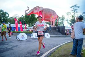 BIB: 
                            <button type="button" onclick="openModal(26551693)" class="btn btn-primary btn-sm float-right btn-popup" data-toggle="modal" data-target=".modal-high-quality">
                        <i class="fas fa-shopping-cart"></i> Add to Cart
                    </button>
                                            <button type="button" onclick="isThisMe(26551693, true)" class="btn btn-success btn-sm float-right btn-popup btn-isme hidden" data-toggle="tooltip" data-placement="bottom" title="นี่คือรูปของคุณใช่ไหม คลิกที่นี่เพื่อเอาเข้าอัลบั้ม">
                        <i class="fas fa-plus"></i> Add to album
                    </button>
                    <button type="button" onclick="isThisMe(26551693, false)" class="btn btn-warning btn-sm float-right btn-popup btn-isnotme hidden">
                        <i class="fas fa-ban"></i> Remove from album
                    </button>